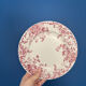 Lot de 6 assiettes à dessert Terre de Fer rose St Amand Hamage modèle
