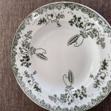 Plates and terra de fer raviers