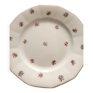 10 assiettes plates digoin