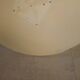 Tulip leg round table