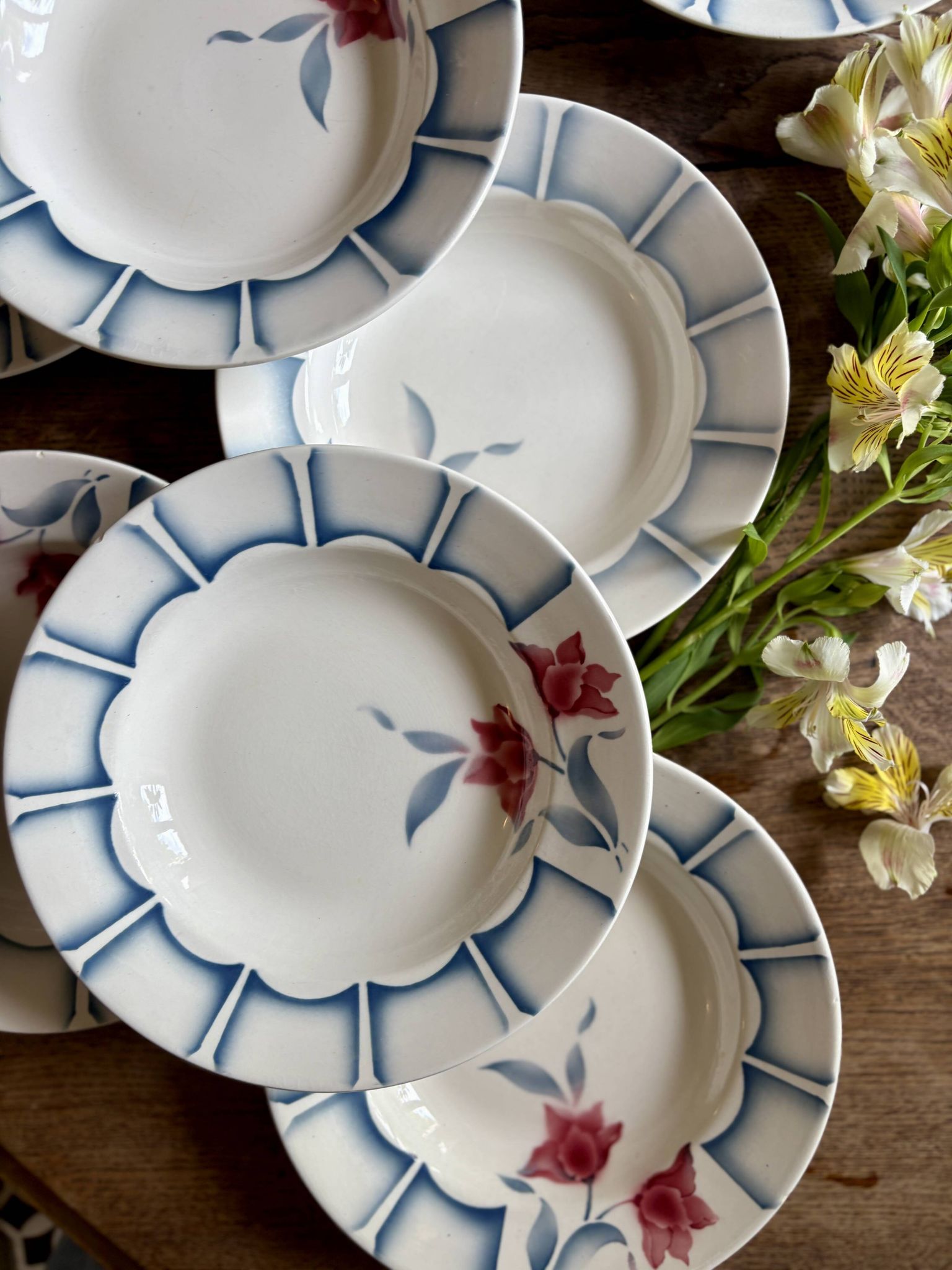 Set of 10 vintage deep plates from Digoin.