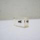 Vintage resin insect