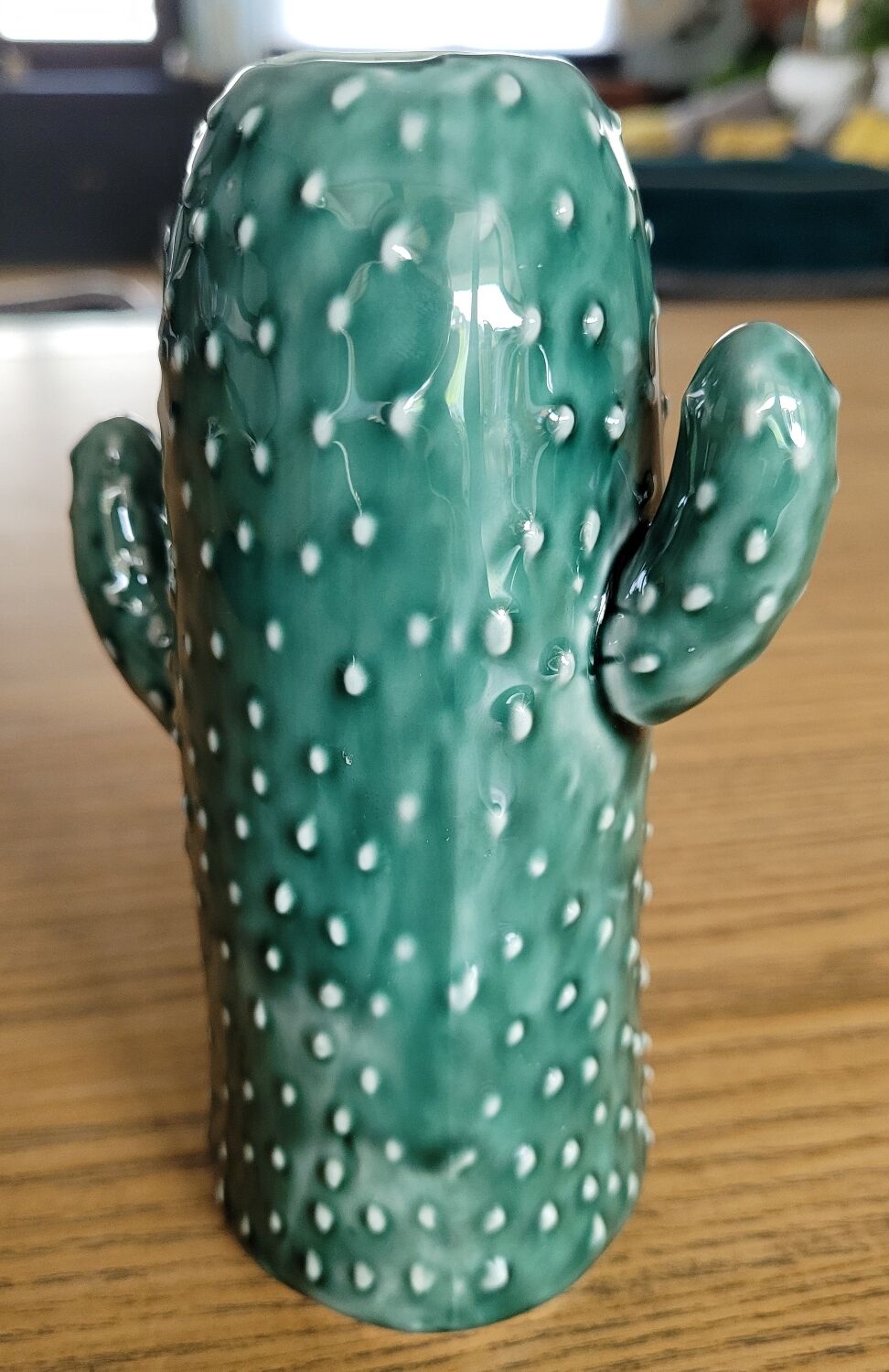 Cactus soliflore vase