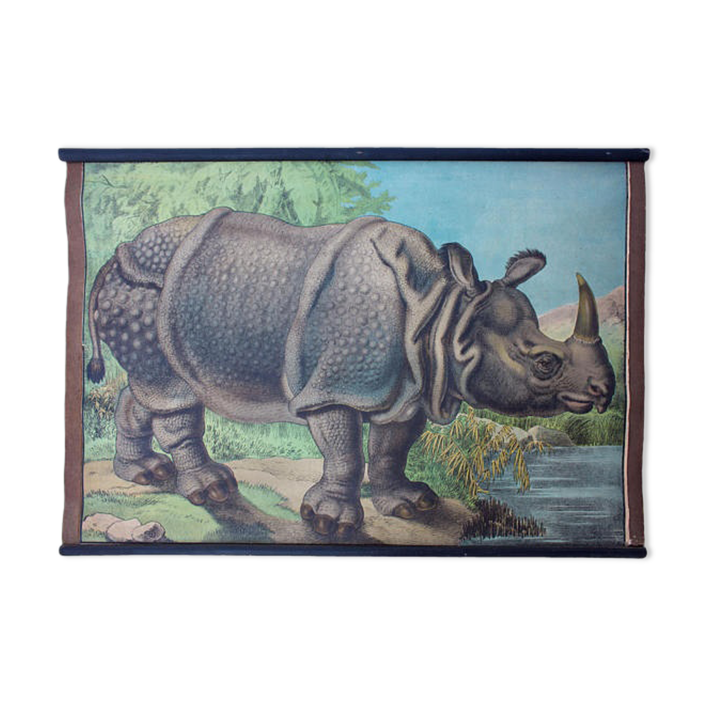 Educational poster, rhino, lithograph, Karl Jansky, Böhmen, 1897