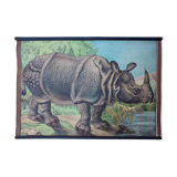 Affiche éducative, rhino, lithographie, Karl Jansky, Böhmen, 1897