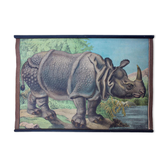 Educational poster, rhino, lithograph, Karl Jansky, Böhmen, 1897