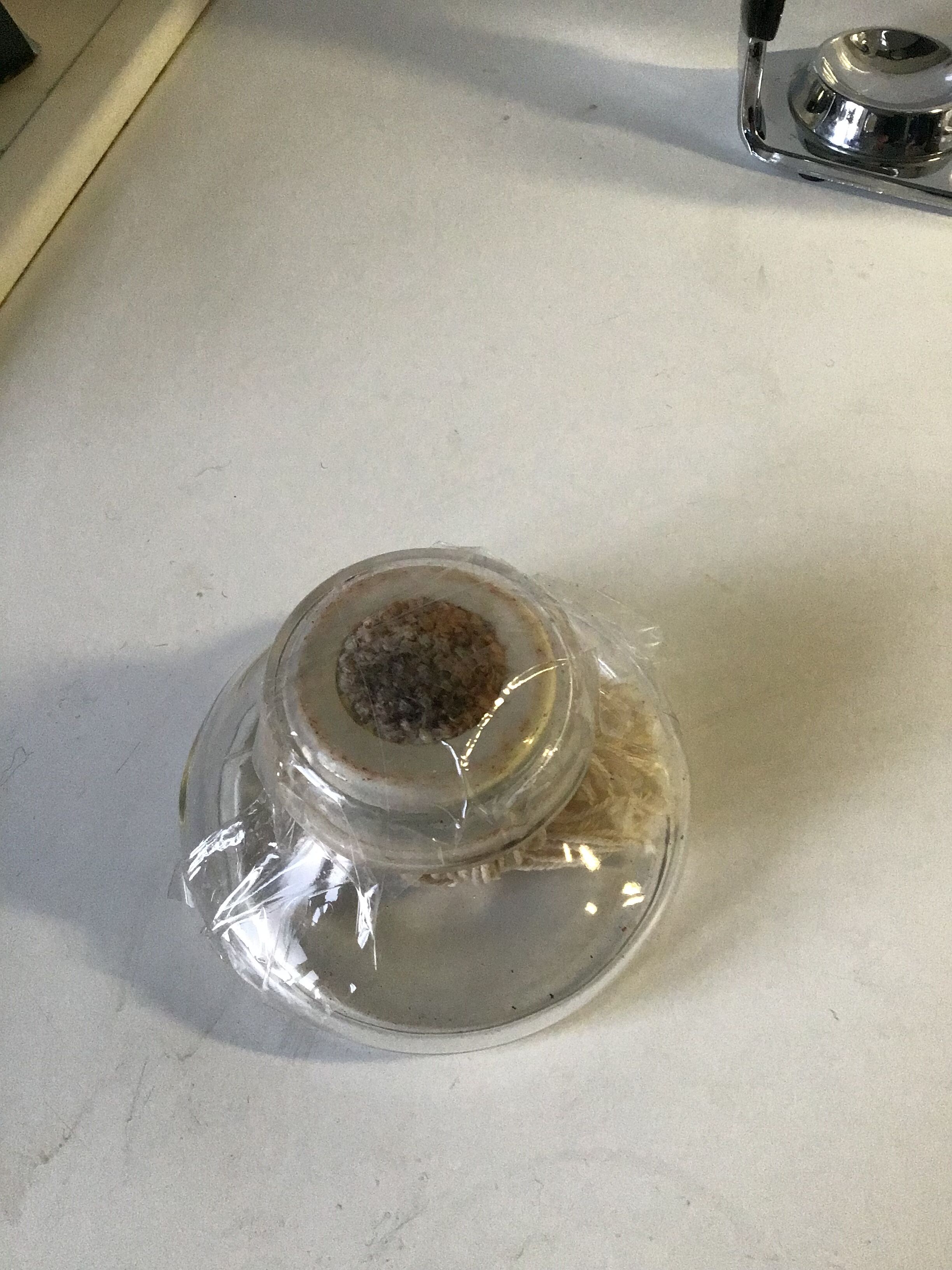 Cona coffee maker with complete depression