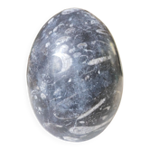 Fossil egg