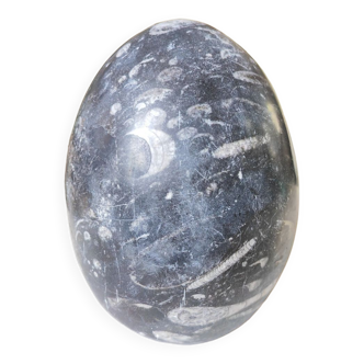 Fossil egg