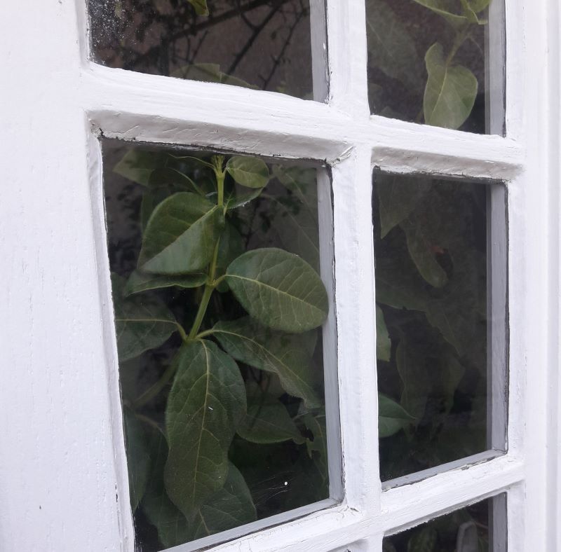 Oak window H96,8xL80,5cm old small tiles