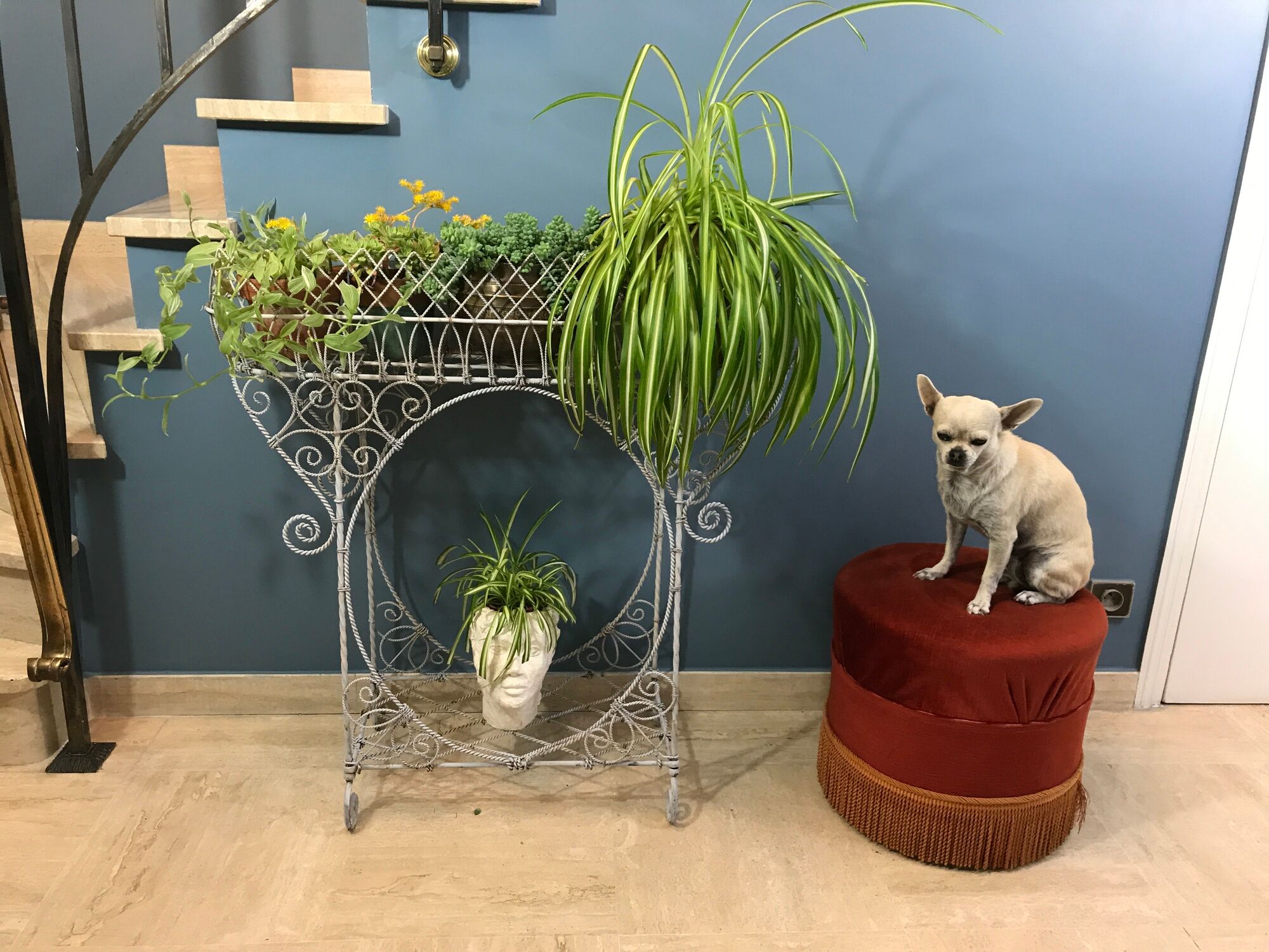Planter holder plant on legs wrought iron late nineteenth