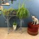 Planter holder plant on legs wrought iron late nineteenth