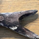 2 swallows
