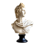 Beige bust of Apollo on black pedestal