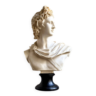 Buste d’Apollon beige sur piédouche noir