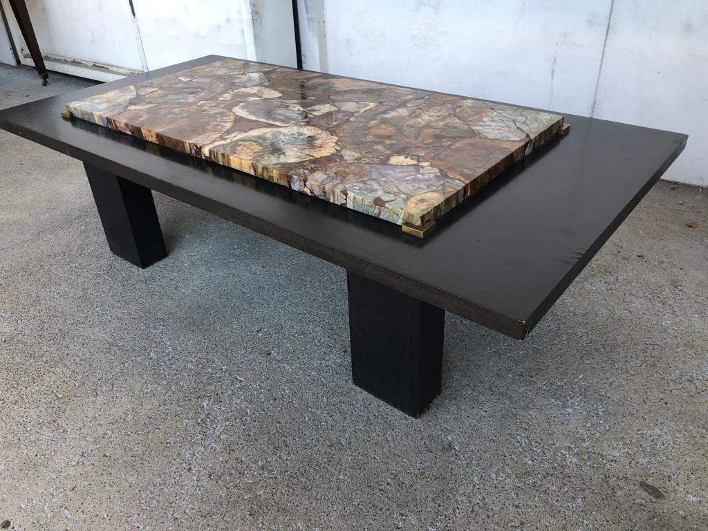 Coffee table with petrified wood top
