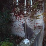 Candélabre , chandelier .