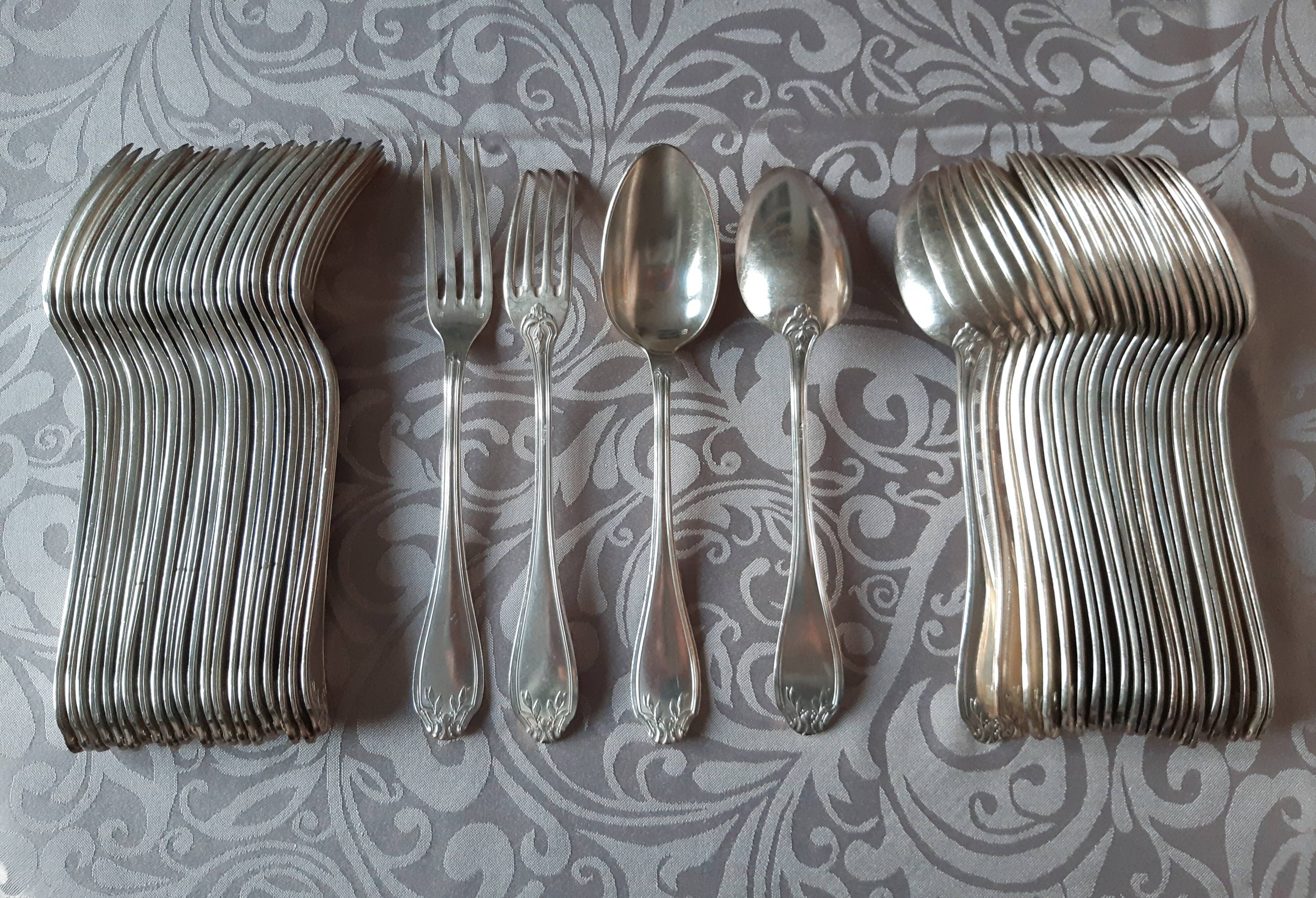 Art nouveau housewife, 48 pieces, 24 guests, foliage model, silver metal