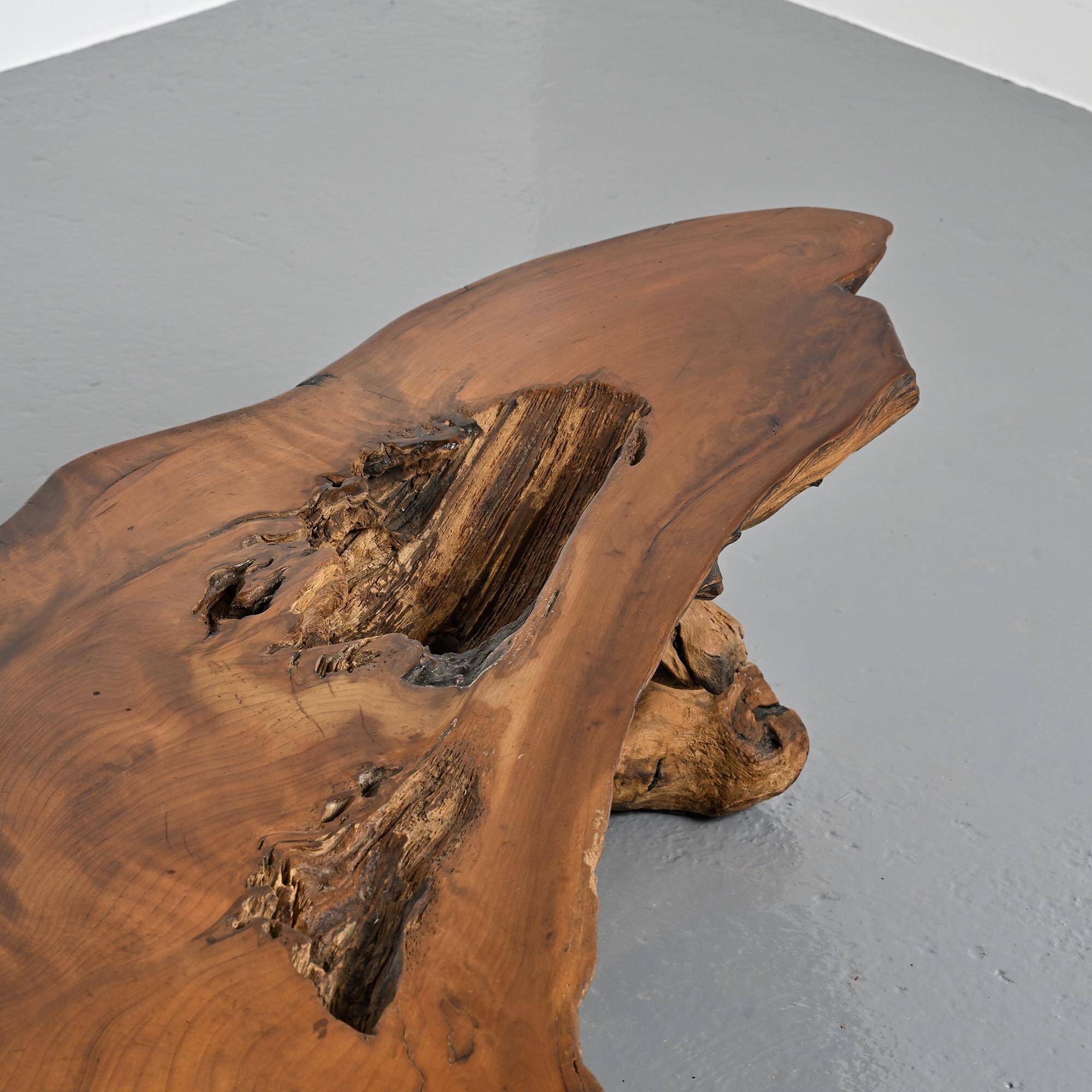 Coffee table made from sequoia root, American craftsmanship, Redwood Park, California, around 1970.