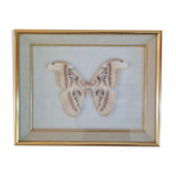 Frame butterfly attacus atlas India