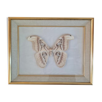 Frame butterfly attacus atlas India