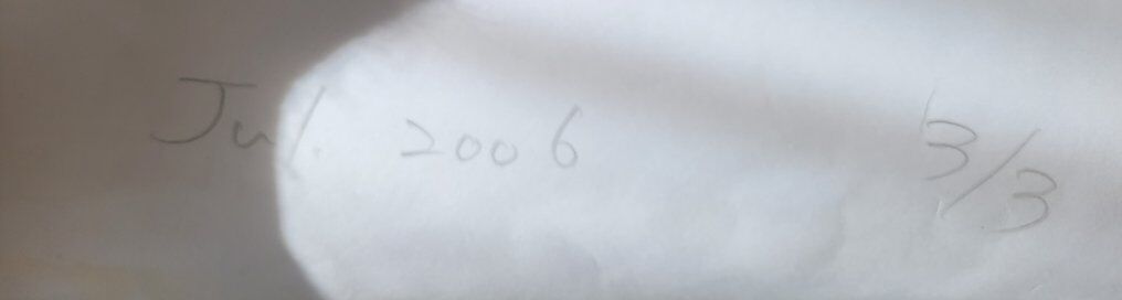 Photograph by Motoki Lee titled "Kabukicho, Japan, 2006-2007"