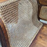 Very large colonial bans