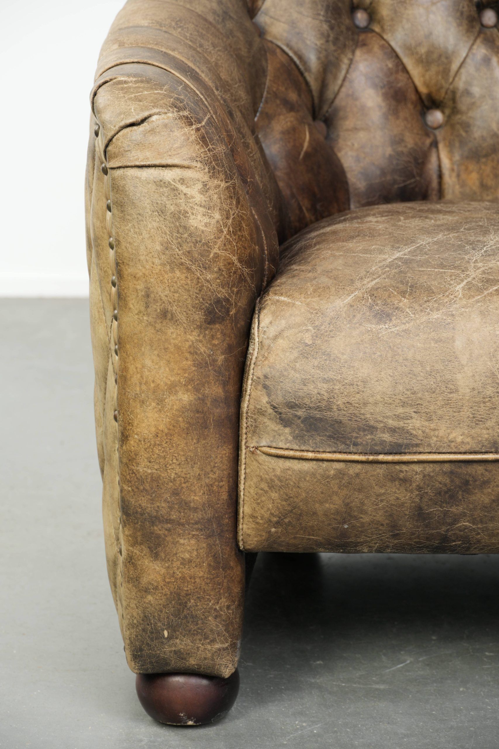 Unique cowhide Chesterfield club armchair with beautiful colour combination