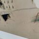 Jean michel basquiat, voitures anciennes 1981, sous licence artestar ny