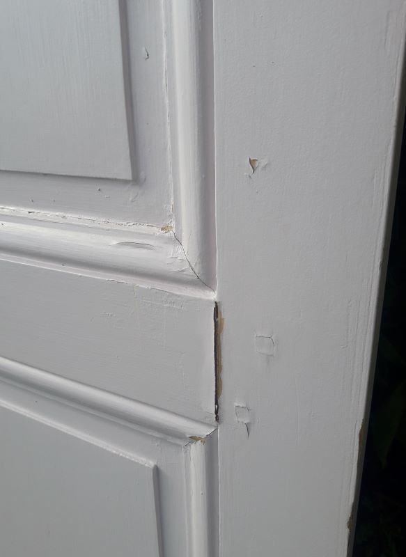 Pair of doors 229,5x110cm closet