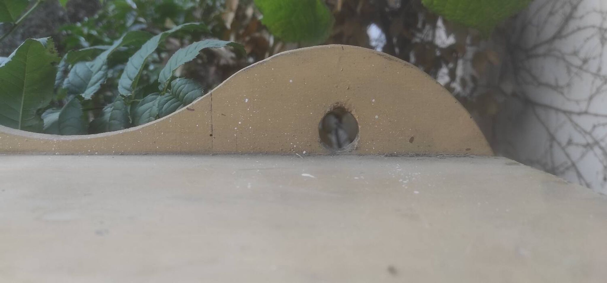 Glass shelf