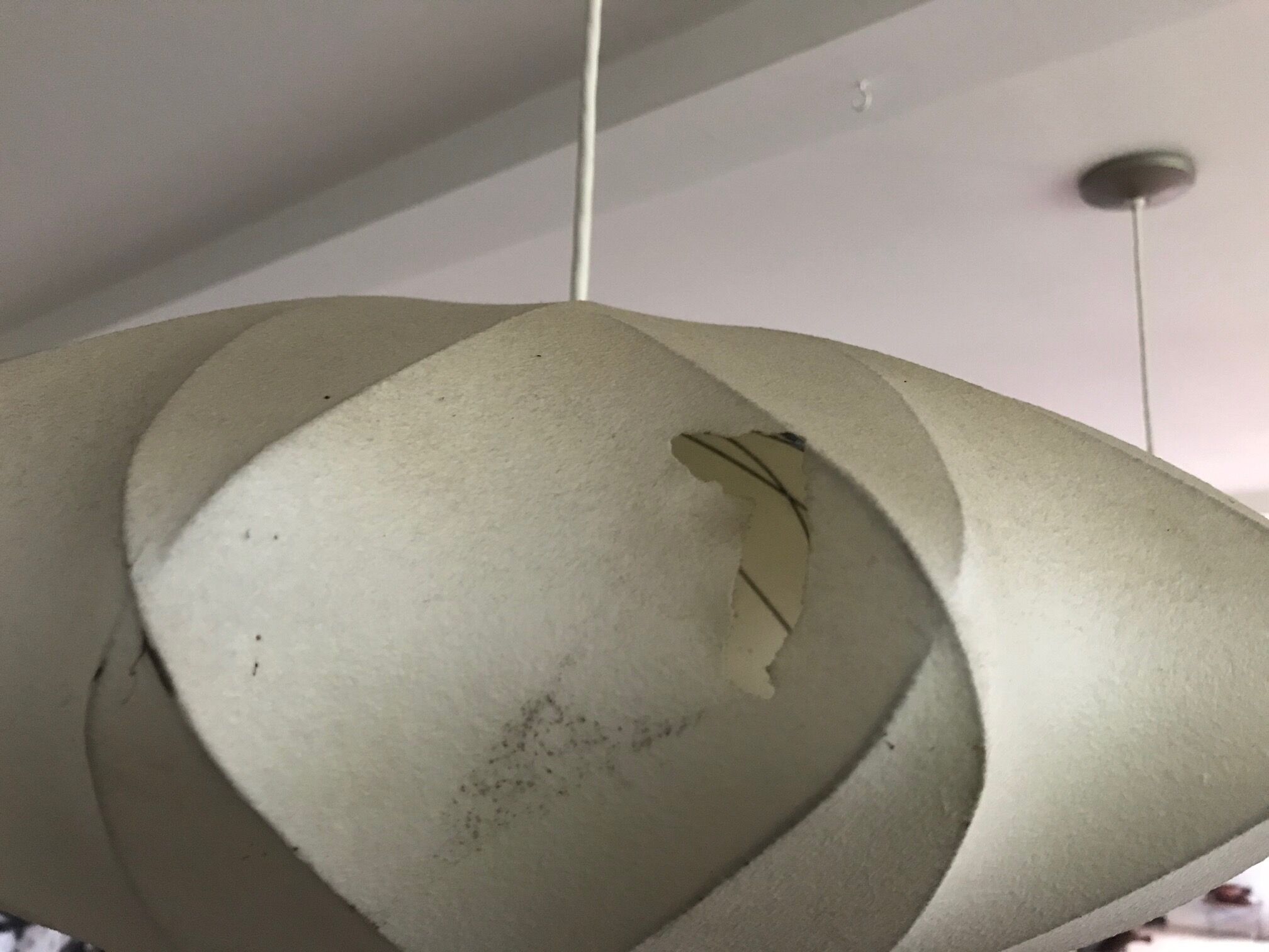 Bubble hanging lamp by George Nelson, edited by Modernica Los Angeles 1952