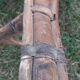 Set 2 rattan chairs 1900
