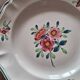 Amazonas plates Sarreguemines
