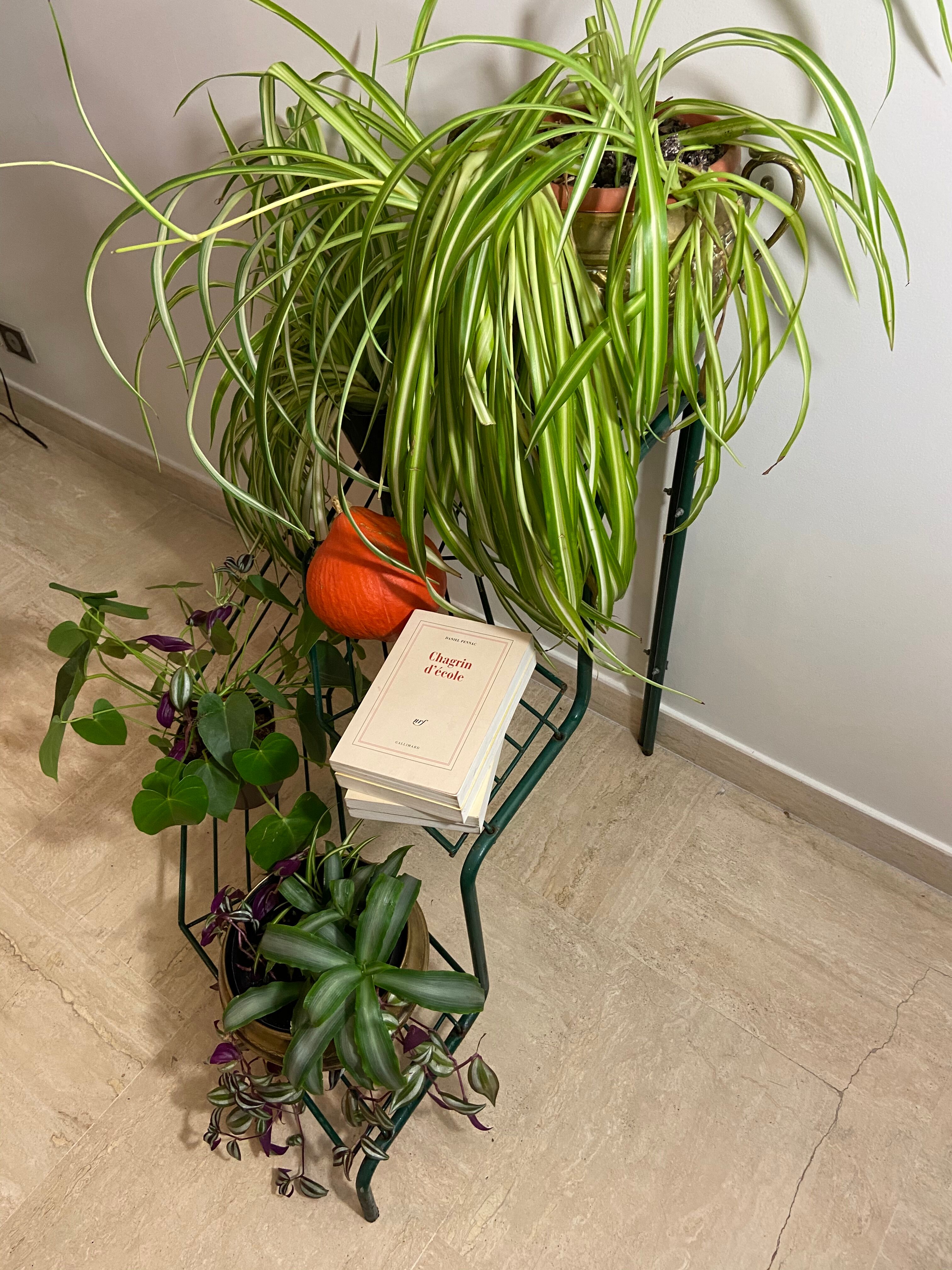 Florist shelf carries metal plants