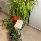 Florist shelf carries metal plants