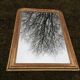 Large Louis Philippe golden mirror