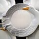 5 ceramic foie gras plates from Faïencerie de la Linde