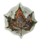Antique ceramic bowl signed – maple leaf decoration