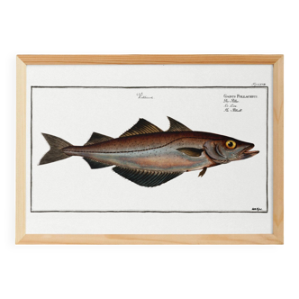 Poster about the black place, after an old engraving from 1746.