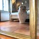 Miroir ancien Louis-Philippe XIXème