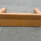 Sofa Petronio 603 de Tito Agnoli pour Poltrona Frau