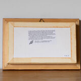 Naturalized insect frame