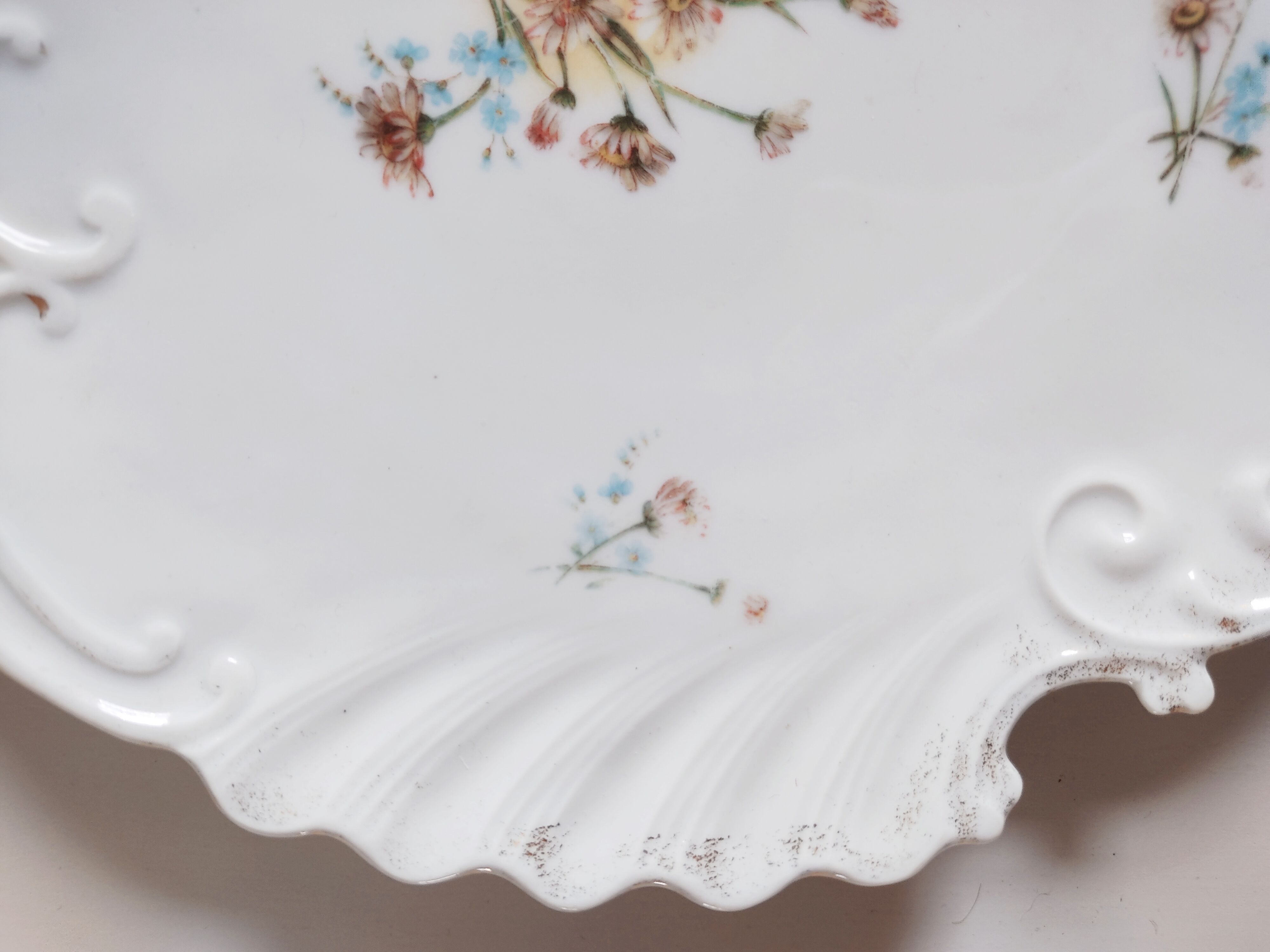 Porcelain shell-shaped dish