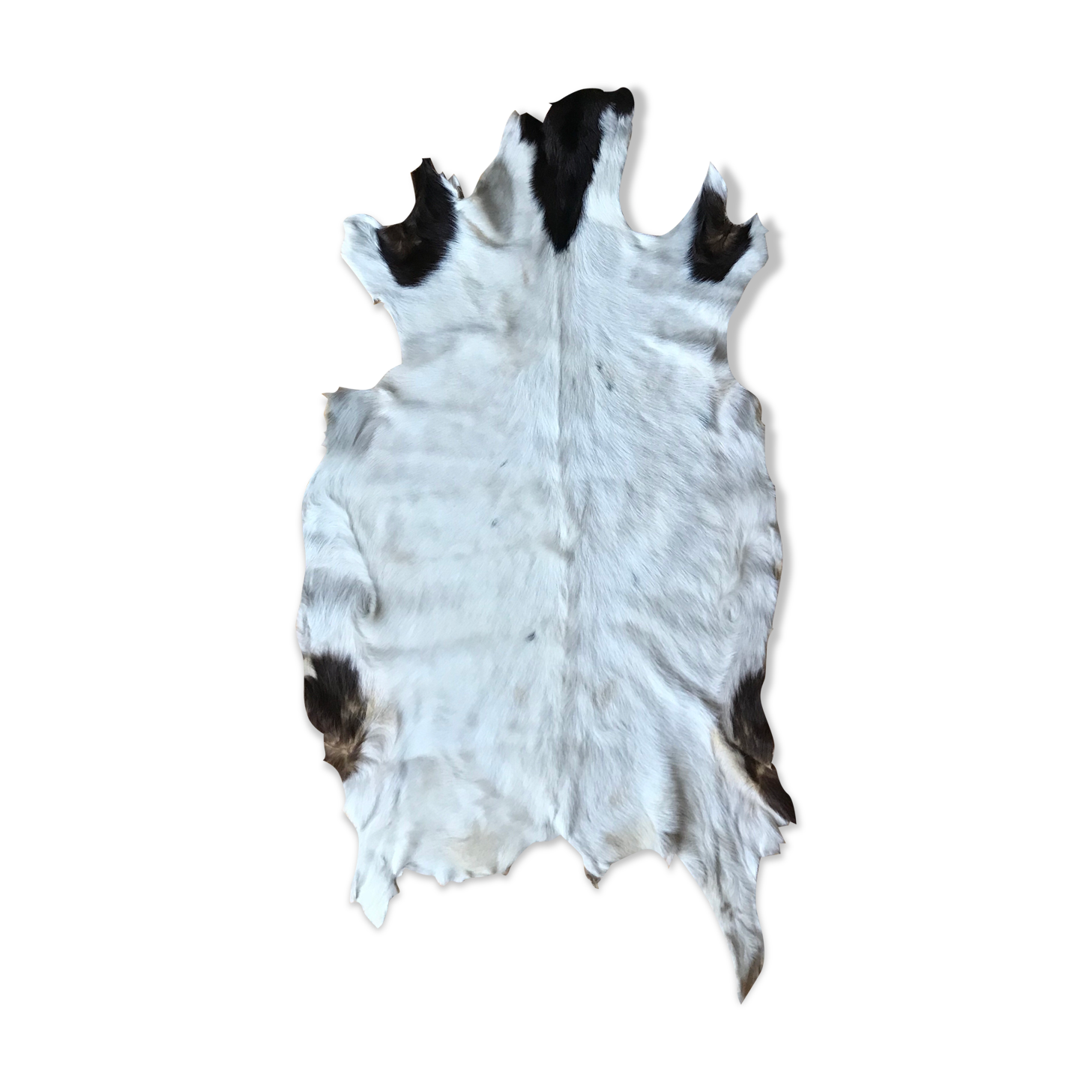Peau de chèvre