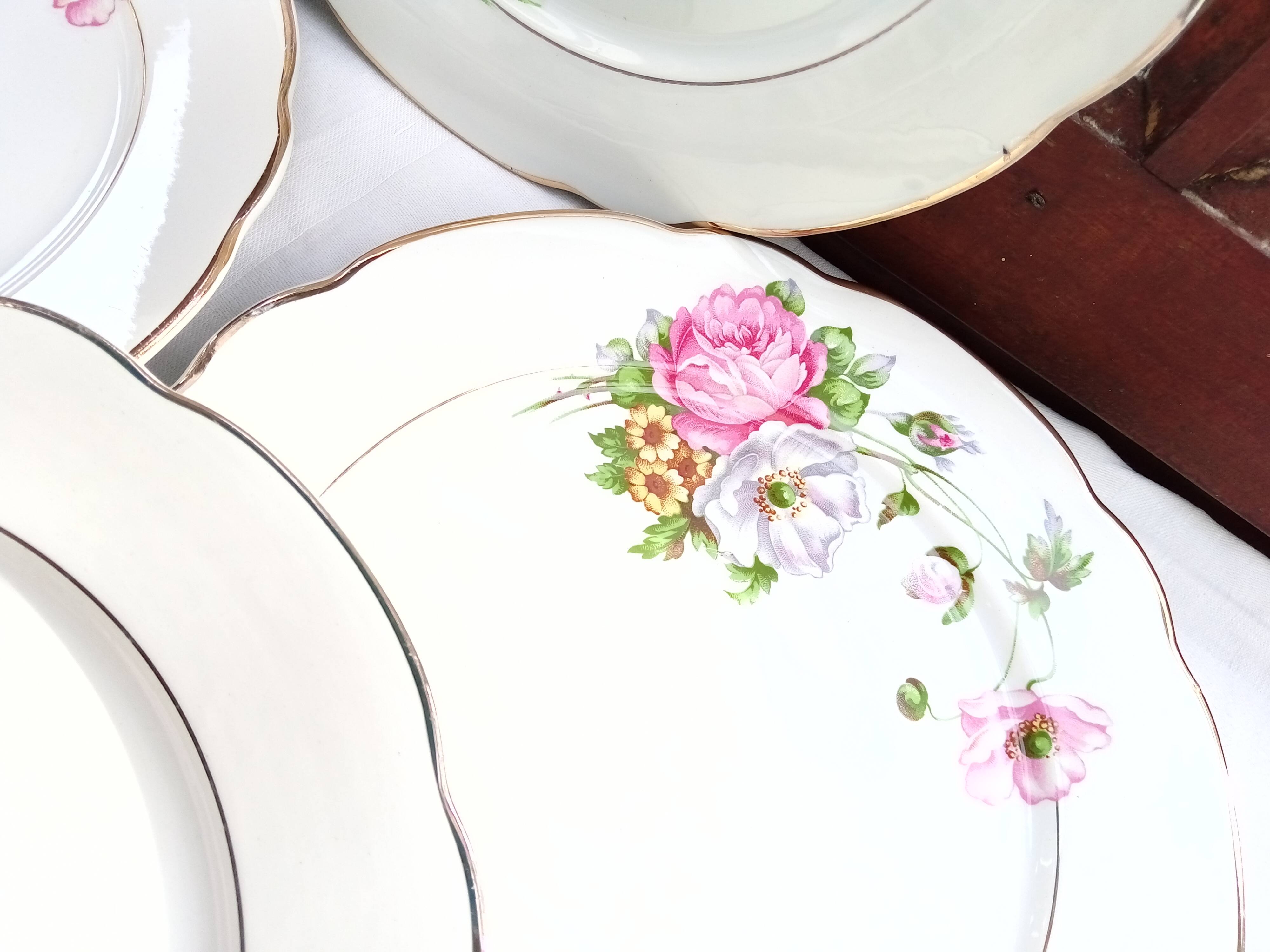 6 Anemone / Digoin flat plates