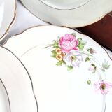 6 Anemone / Digoin flat plates