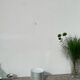10 white Limoges porcelain dessert plates