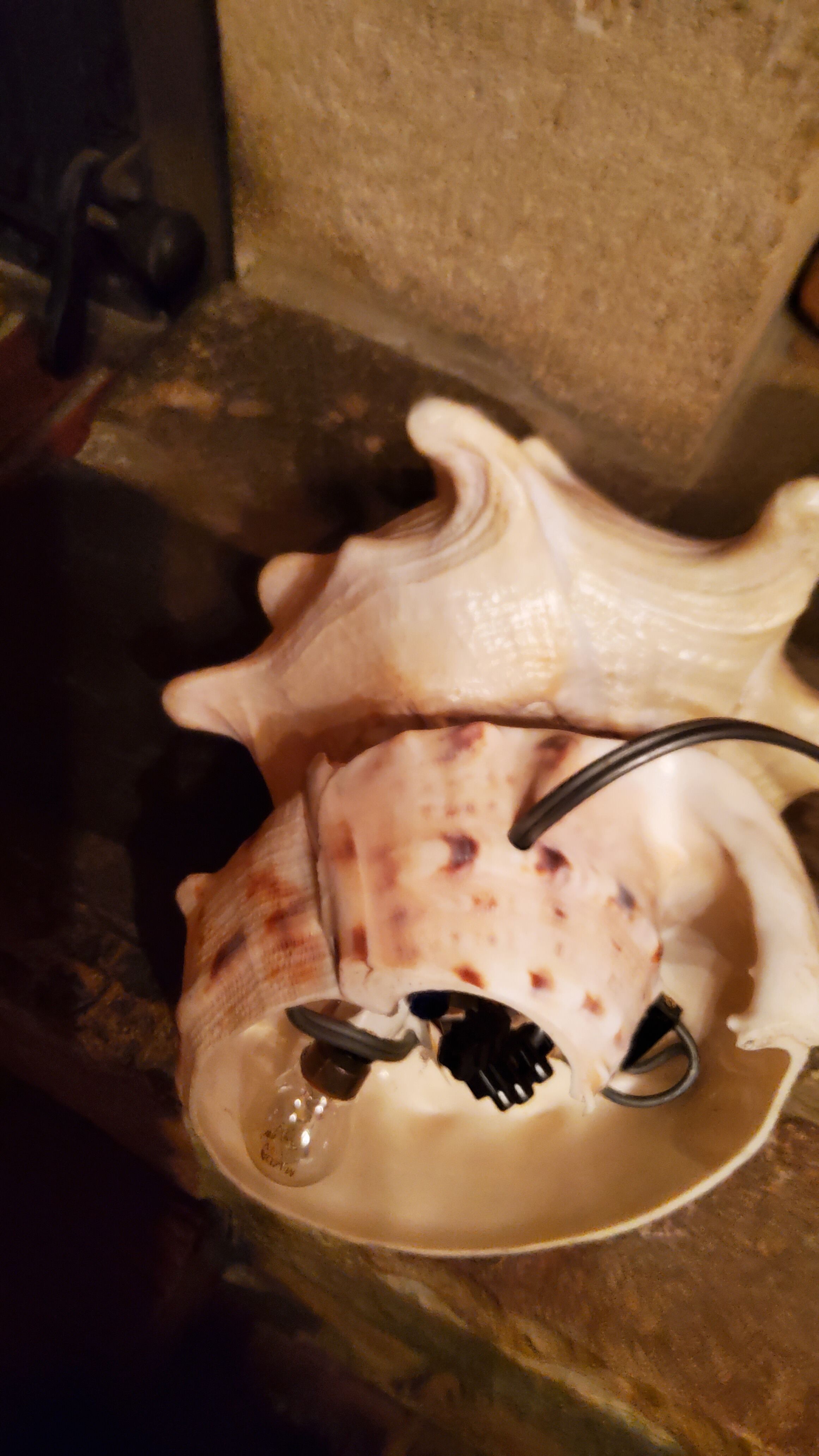 Shell lamp from the 50s