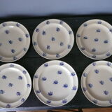 Suite of 6 flat plates